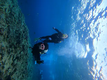 武藤潜水に投稿された画像（2023/3/8）