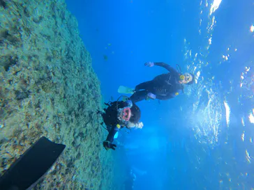 武藤潜水に投稿された画像（2023/3/8）