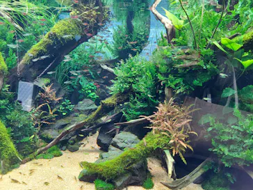 すみだ水族館に投稿された画像（2023/3/8）