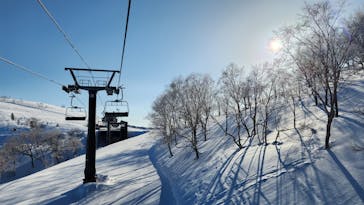 スキージャム勝山に投稿された画像（2023/3/8）