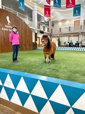 ノーザンホースパークに投稿された画像（2023/3/8）