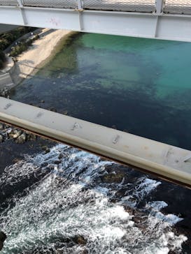 徳島県立 渦の道に投稿された画像（2023/3/8）