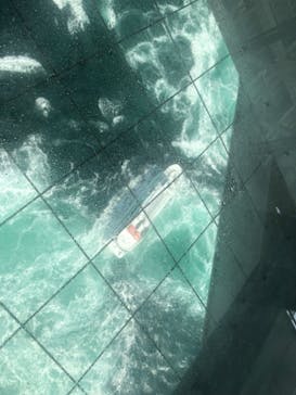 徳島県立 渦の道に投稿された画像（2023/3/8）