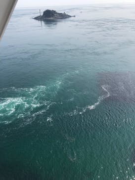 徳島県立 渦の道に投稿された画像（2023/3/8）