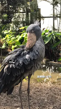 神戸どうぶつ王国に投稿された画像（2023/3/8）