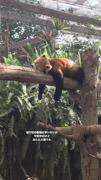 神戸どうぶつ王国に投稿された画像（2023/3/8）