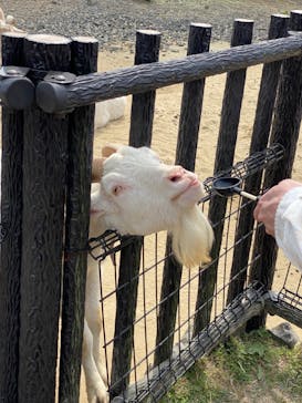 九十九島動植物園森きららに投稿された画像（2023/3/8）