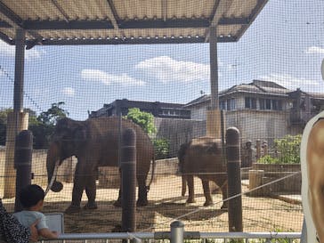沖縄こどもの国に投稿された画像（2023/3/8）