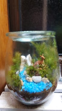 苔工房アイモスに投稿された画像（2023/3/8）