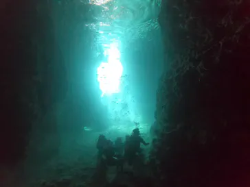 武藤潜水に投稿された画像（2023/3/9）