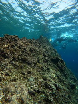 沖縄マリンサービス碧に投稿された画像（2023/3/9）