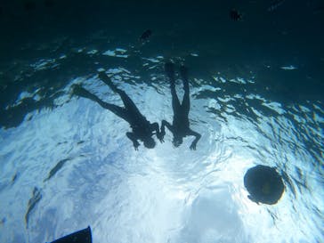 沖縄マリンサービス碧に投稿された画像（2023/3/9）