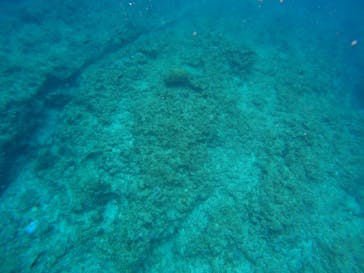 沖縄マリンサービス碧に投稿された画像（2023/3/9）