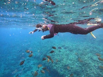 沖縄マリンサービス碧に投稿された画像（2023/3/9）