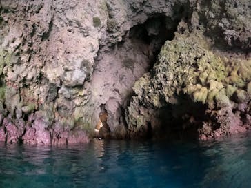 沖縄マリンサービス碧に投稿された画像（2023/3/9）