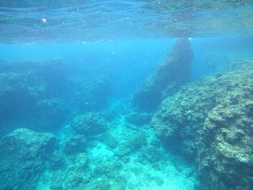 沖縄マリンサービス碧に投稿された画像（2023/3/9）