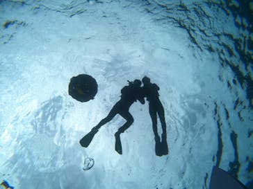 沖縄マリンサービス碧に投稿された画像（2023/3/9）