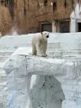天王寺動物園に投稿された画像（2023/3/9）