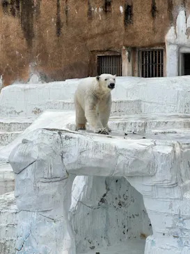 天王寺動物園に投稿された画像（2023/3/9）
