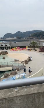 大分マリーンパレス水族館 「うみたまご」に投稿された画像（2023/3/9）