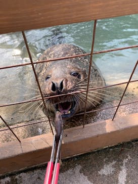 那須どうぶつ王国に投稿された画像（2023/3/9）