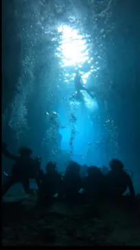 武藤潜水に投稿された画像（2023/3/9）