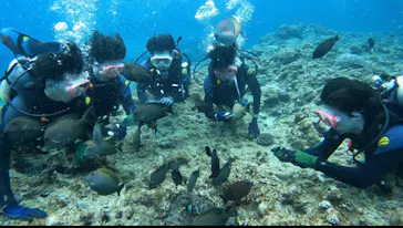 武藤潜水に投稿された画像（2023/3/9）