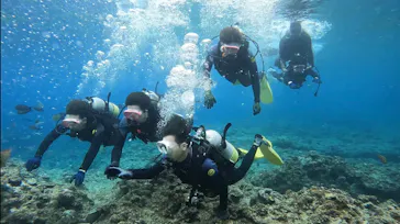 武藤潜水に投稿された画像（2023/3/9）