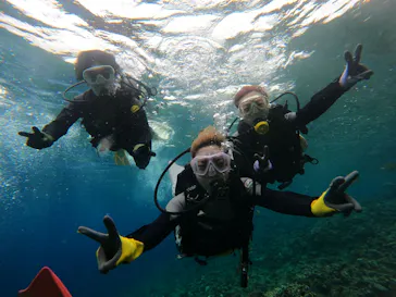 武藤潜水に投稿された画像（2023/3/9）