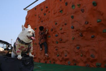 伊豆ぐらんぱる公園に投稿された画像（2023/3/9）