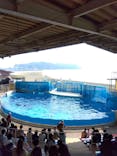 新江ノ島水族館に投稿された画像（2023/3/9）