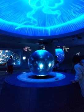 新江ノ島水族館に投稿された画像（2023/3/9）