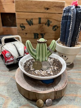 SWING BY（スウィング バイ）に投稿された画像（2023/3/9）