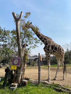 天王寺動物園に投稿された画像（2023/3/9）