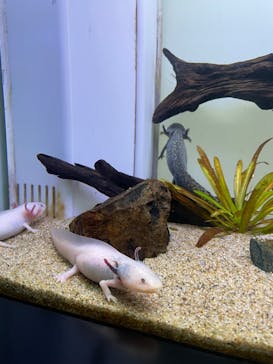 サンシャイン水族館に投稿された画像（2023/3/9）