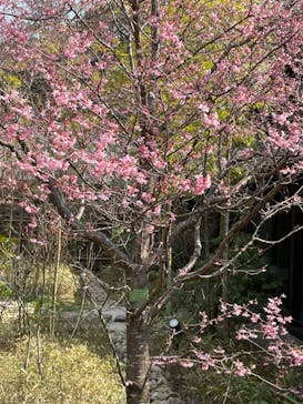 箱根湯寮に投稿された画像（2023/3/9）