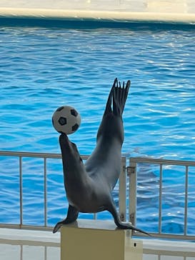 マリンワールド海の中道に投稿された画像（2023/3/10）