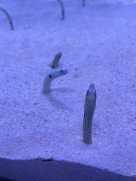 マリンワールド海の中道に投稿された画像（2023/3/10）