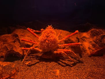 マリンワールド海の中道に投稿された画像（2023/3/10）