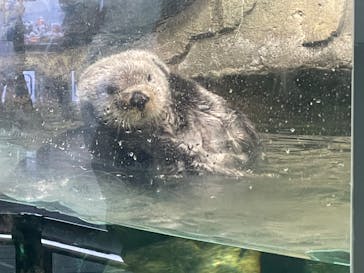 マリンワールド海の中道に投稿された画像（2023/3/10）