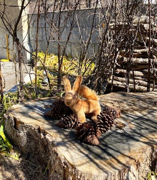 星の王子さまミュージアム 箱根サン=テグジュペリに投稿された画像（2023/3/10）