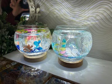 ずこうしつ〜sugamo〜に投稿された画像（2023/3/10）