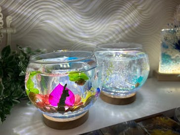 ずこうしつ〜sugamo〜に投稿された画像（2023/3/10）