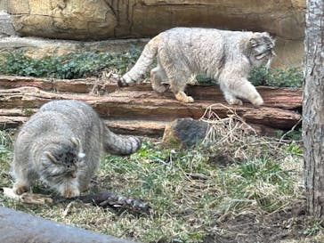 那須どうぶつ王国に投稿された画像（2023/3/10）