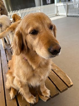 那須どうぶつ王国に投稿された画像（2023/3/10）