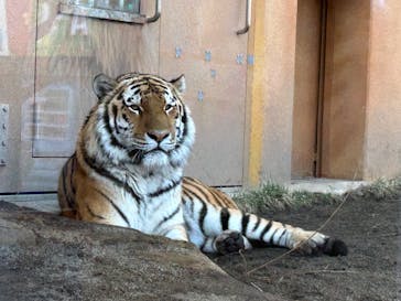 那須どうぶつ王国に投稿された画像（2023/3/10）