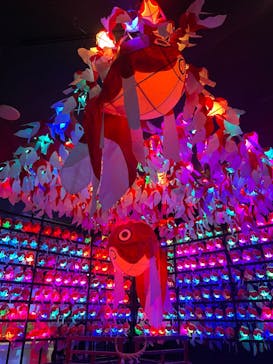 NARA KINGYO MUSEUMに投稿された画像（2023/3/10）