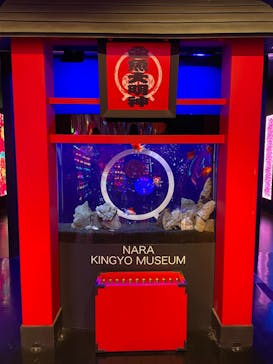 NARA KINGYO MUSEUMに投稿された画像（2023/3/10）