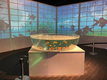 NARA KINGYO MUSEUMに投稿された画像（2023/3/10）