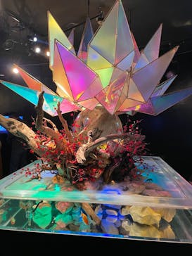 NARA KINGYO MUSEUMに投稿された画像（2023/3/10）